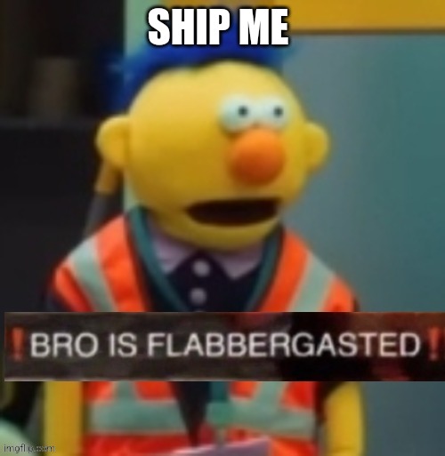 Flabbergasted Yellow Guy | SHIP ME | image tagged in flabbergasted yellow guy | made w/ Imgflip meme maker