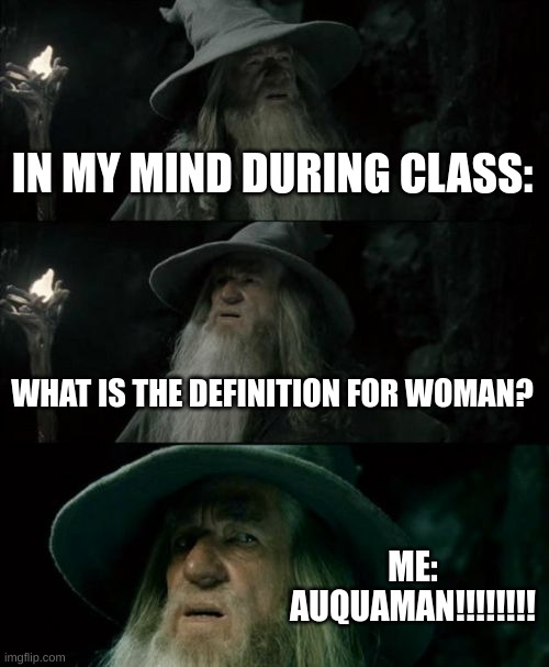 Confused Gandalf | IN MY MIND DURING CLASS:; WHAT IS THE DEFINITION FOR WOMAN? ME: AUQUAMAN!!!!!!!! | image tagged in memes,confused gandalf | made w/ Imgflip meme maker