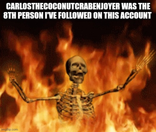 Skeleton Burning In Hell | CARLOSTHECOCONUTCRABENJOYER WAS THE 8TH PERSON I'VE FOLLOWED ON THIS ACCOUNT | image tagged in skeleton burning in hell | made w/ Imgflip meme maker