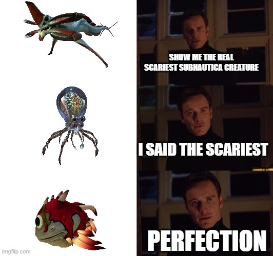 Sorbnautica | SHOW ME THE REAL SCARIEST SUBNAUTICA CREATURE; I SAID THE SCARIEST; PERFECTION | image tagged in perfection | made w/ Imgflip meme maker