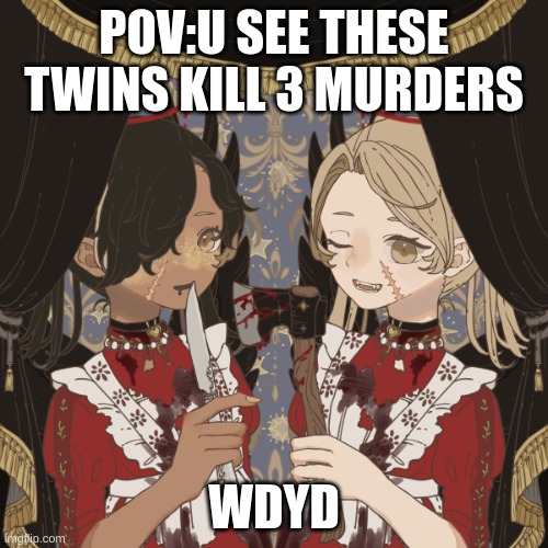 POV:U SEE THESE TWINS KILL 3 MURDERS; WDYD | made w/ Imgflip meme maker