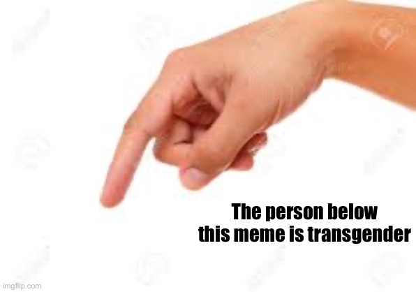 the person below | The person below this meme is transgender | image tagged in the person below | made w/ Imgflip meme maker
