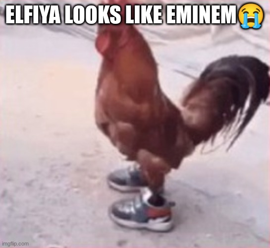 dripping bird of a specific name | ELFIYA LOOKS LIKE EMINEM😭 | image tagged in dripping bird of a specific name | made w/ Imgflip meme maker
