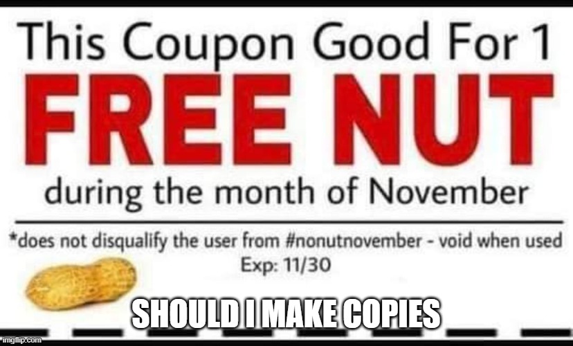 i mean, i could | SHOULD I MAKE COPIES | made w/ Imgflip meme maker