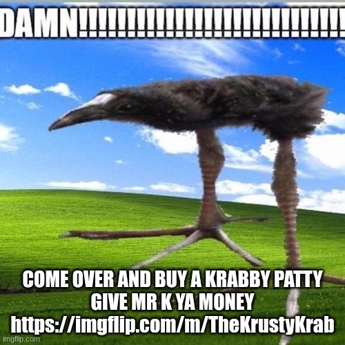 DAMN!!!!!!!!!!!!!!!!!!!!!!!!!!!! | COME OVER AND BUY A KRABBY PATTY
GIVE MR K YA MONEY
https://imgflip.com/m/TheKrustyKrab | image tagged in damn | made w/ Imgflip meme maker