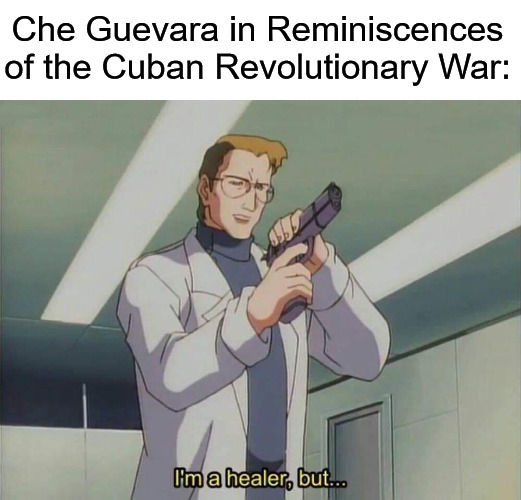 I'm a healer but... | Che Guevara in Reminiscences of the Cuban Revolutionary War: | image tagged in i'm a healer but,che guevara | made w/ Imgflip meme maker