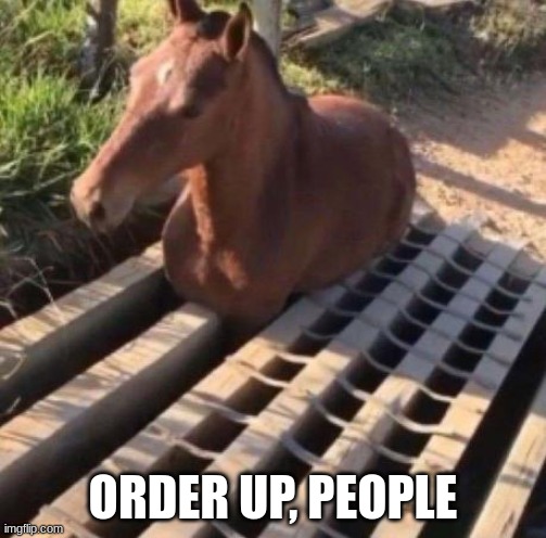 grate holding its horses | ORDER UP, PEOPLE | image tagged in grate holding its horses | made w/ Imgflip meme maker