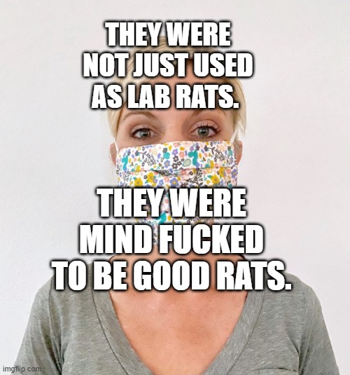 cloth face mask | THEY WERE NOT JUST USED AS LAB RATS. THEY WERE MIND FUCKED TO BE GOOD RATS. | image tagged in cloth face mask | made w/ Imgflip meme maker