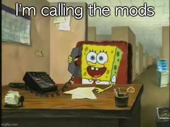 SpongeBob hang on I'll transfer your call | I’m calling the mods | image tagged in spongebob hang on i'll transfer your call | made w/ Imgflip meme maker