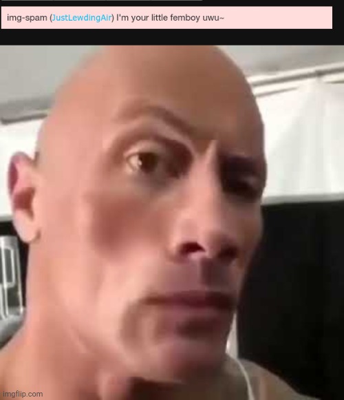 MS_memer_group the rock eyebrow Memes & GIFs - Imgflip