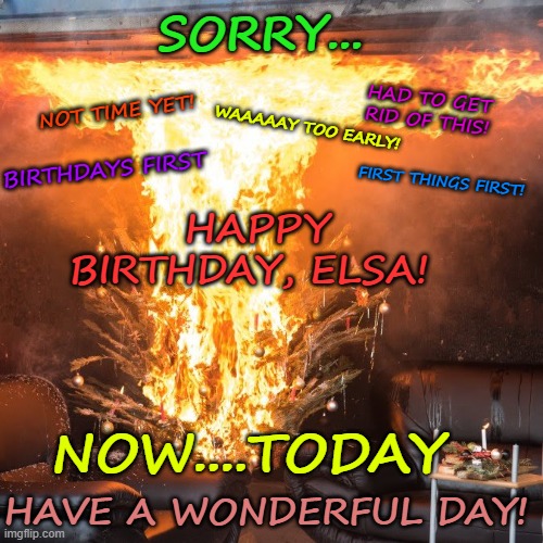 Burning christmas tree | SORRY... HAD TO GET RID OF THIS! NOT TIME YET! WAAAAAY TOO EARLY! BIRTHDAYS FIRST; FIRST THINGS FIRST! HAPPY BIRTHDAY, ELSA! NOW....TODAY; HAVE A WONDERFUL DAY! | image tagged in burning christmas tree | made w/ Imgflip meme maker