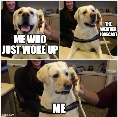 It's meant to snow for 2 weeks. Straight. | THE WEATHER FORECAST; ME WHO JUST WOKE UP; ME | image tagged in sad news doggo | made w/ Imgflip meme maker