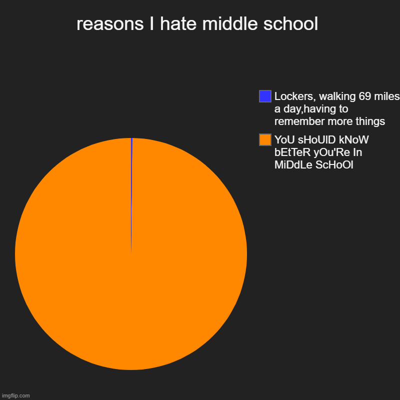 reasons I hate middle school | YoU sHoUlD kNoW bEtTeR yOu'Re In MiDdLe ScHoOl, Lockers, walking 69 miles a day,having to remember more thing | image tagged in charts,pie charts | made w/ Imgflip chart maker
