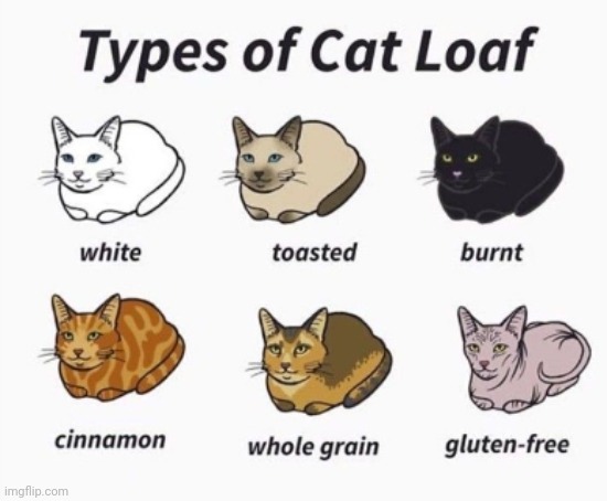 Which one is yours? Mine is toasted | made w/ Imgflip meme maker