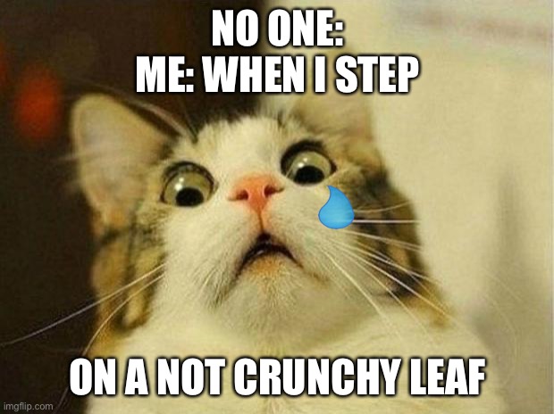 Scared Cat Meme | NO ONE:
ME: WHEN I STEP; ON A NOT CRUNCHY LEAF | image tagged in memes,scared cat | made w/ Imgflip meme maker