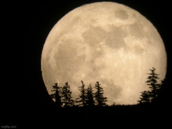 Super moon | image tagged in super moon | made w/ Imgflip meme maker