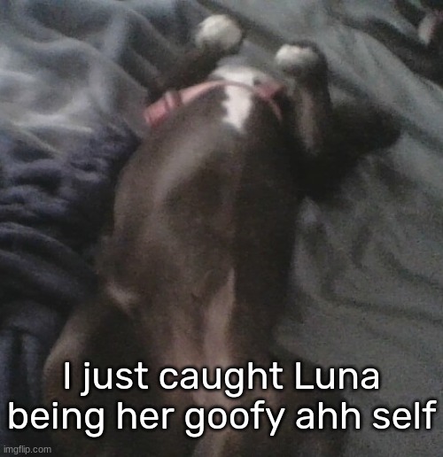 I just caught Luna being her goofy ahh self | made w/ Imgflip meme maker