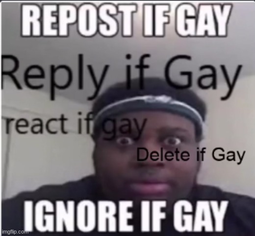 (Mod note: Change title if not gay) (other mod note: changed title) | made w/ Imgflip meme maker