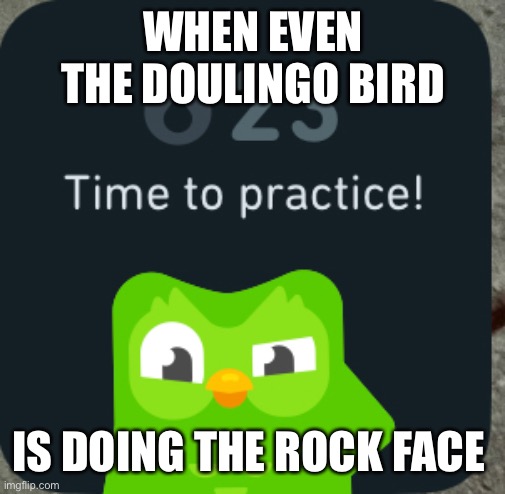 Rididjdjddnddn | WHEN EVEN THE DOULINGO BIRD; IS DOING THE ROCK FACE | image tagged in lol | made w/ Imgflip meme maker
