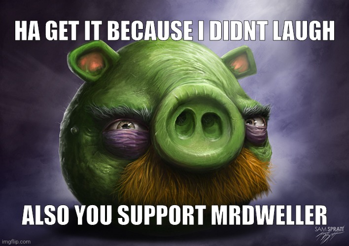 ha ha funny but I forgot to laugh | HA GET IT BECAUSE I DIDNT LAUGH; ALSO YOU SUPPORT MRDWELLER | image tagged in realistic angry birds,angry birds,angry birds pig | made w/ Imgflip meme maker