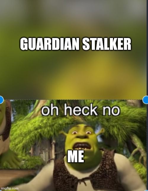 .. | GUARDIAN STALKER; ME | image tagged in oh no | made w/ Imgflip meme maker