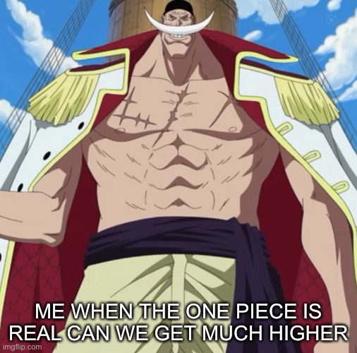 the one piece is real | ME WHEN THE ONE PIECE IS REAL CAN WE GET MUCH HIGHER | image tagged in the one piece is real | made w/ Imgflip meme maker