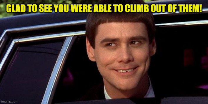 dumb and dumber | GLAD TO SEE YOU WERE ABLE TO CLIMB OUT OF THEM! | image tagged in dumb and dumber | made w/ Imgflip meme maker