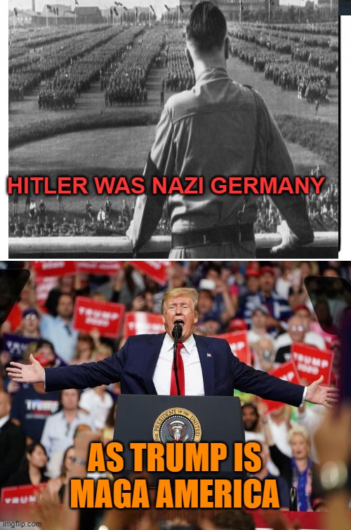 The rise of American Fascism | HITLER WAS NAZI GERMANY; AS TRUMP IS MAGA AMERICA | image tagged in donald trump,maga,political meme,brandon,midterms | made w/ Imgflip meme maker