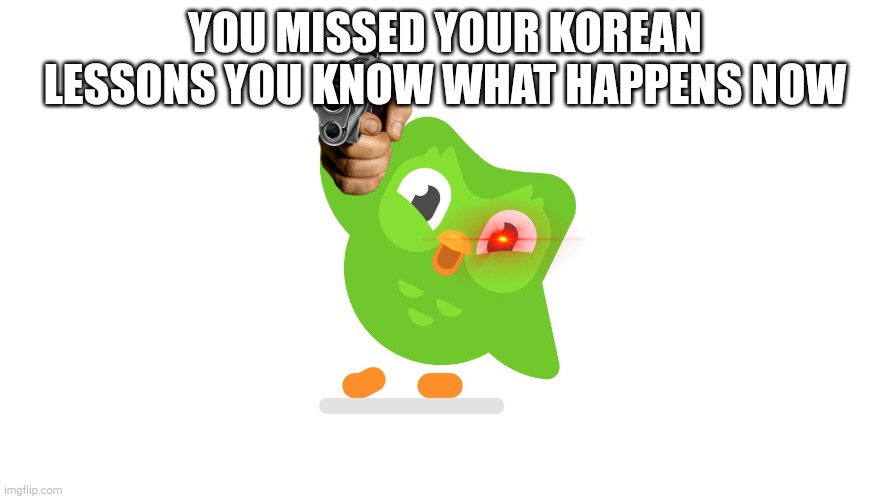 Doulingo | YOU MISSED YOUR KOREAN LESSONS YOU KNOW WHAT HAPPENS NOW | image tagged in doulingo | made w/ Imgflip meme maker