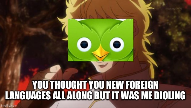 But it was me Dio | YOU THOUGHT YOU NEW FOREIGN LANGUAGES ALL ALONG BUT IT WAS ME DIOLING | image tagged in but it was me dio | made w/ Imgflip meme maker
