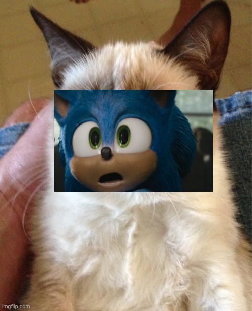 Grumpy Cat Meme | image tagged in memes,grumpy cat,sonic the hedgehog | made w/ Imgflip meme maker