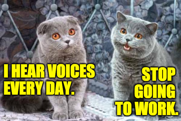 Guaranteed to work unless you live with your parents. | STOP 
GOING 
TO WORK. I HEAR VOICES EVERY DAY. | image tagged in memes,sad cat happy cat,life hacks | made w/ Imgflip meme maker