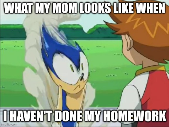 true | WHAT MY MOM LOOKS LIKE WHEN; I HAVEN'T DONE MY HOMEWORK | image tagged in weird sonic,school,homework,mom,dissapointed | made w/ Imgflip meme maker