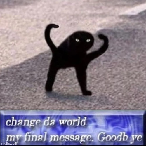bye | image tagged in cursed cat,change da world my final message goodbye | made w/ Imgflip meme maker