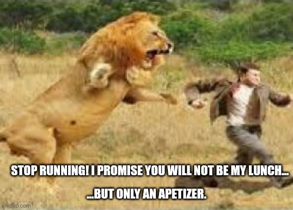 Lion Chasing Man | STOP RUNNING! I PROMISE YOU WILL NOT BE MY LUNCH... ...BUT ONLY AN APETIZER. | image tagged in lion chasing man | made w/ Imgflip meme maker