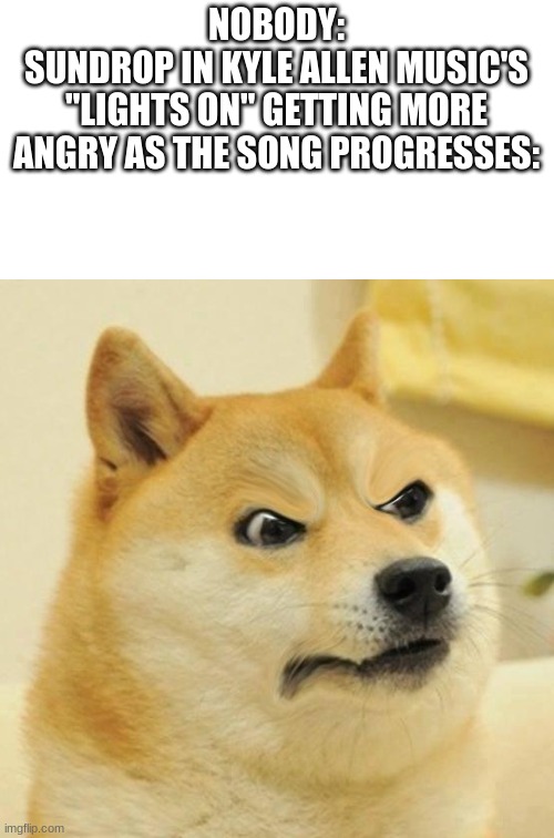 Confused Angery Doge | NOBODY:
SUNDROP IN KYLE ALLEN MUSIC'S "LIGHTS ON" GETTING MORE ANGRY AS THE SONG PROGRESSES: | image tagged in confused angery doge | made w/ Imgflip meme maker