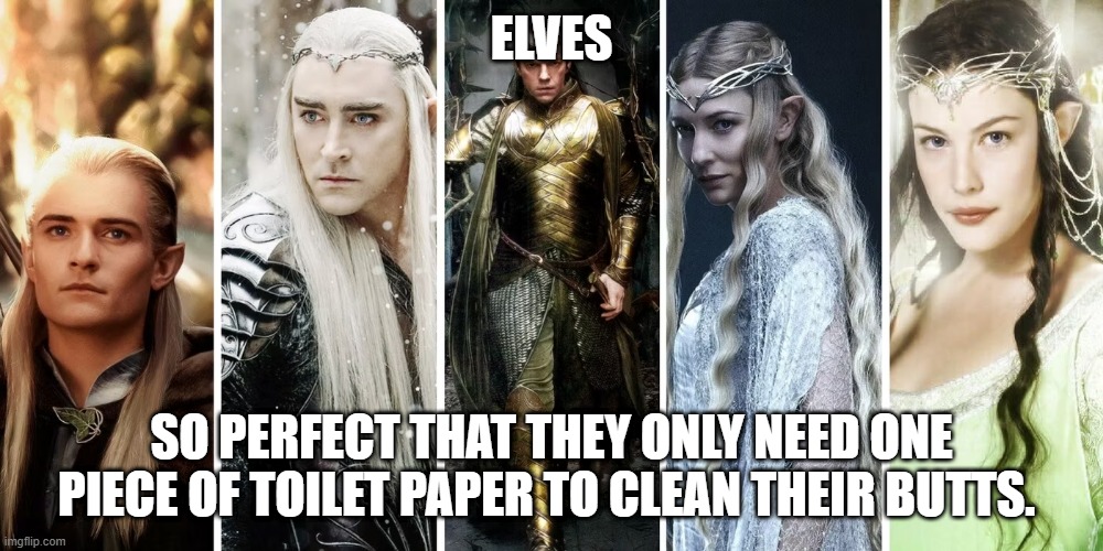 Elves | ELVES; SO PERFECT THAT THEY ONLY NEED ONE PIECE OF TOILET PAPER TO CLEAN THEIR BUTTS. | image tagged in elf,snooty,perfect,elite,better  than you | made w/ Imgflip meme maker