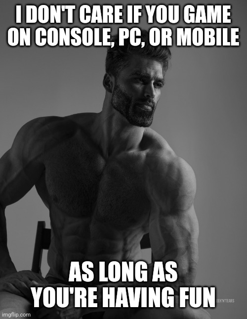 Giga Chad | I DON'T CARE IF YOU GAME ON CONSOLE, PC, OR MOBILE; AS LONG AS YOU'RE HAVING FUN | image tagged in giga chad,memes | made w/ Imgflip meme maker