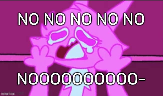Sad Fuzzy Man | NO NO NO NO NO NOOOOOOOOOO- | image tagged in sad fuzzy man | made w/ Imgflip meme maker