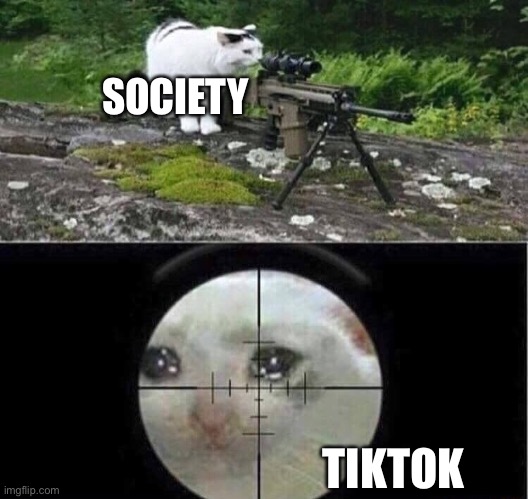 Sniper cat | SOCIETY TIKTOK | image tagged in sniper cat | made w/ Imgflip meme maker