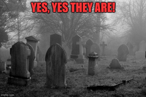 Goth cemetary | YES, YES THEY ARE! | image tagged in goth cemetary | made w/ Imgflip meme maker