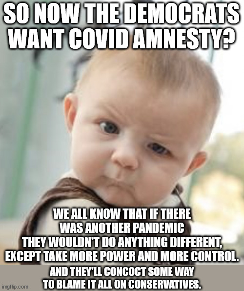 The only thing you can trust Democats to do is to take more of our freedoms and rights away from us. | SO NOW THE DEMOCRATS WANT COVID AMNESTY? WE ALL KNOW THAT IF THERE WAS ANOTHER PANDEMIC
THEY WOULDN'T DO ANYTHING DIFFERENT,
EXCEPT TAKE MORE POWER AND MORE CONTROL. AND THEY'LL CONCOCT SOME WAY TO BLAME IT ALL ON CONSERVATIVES. | image tagged in control freak dems,democrat narcissism | made w/ Imgflip meme maker