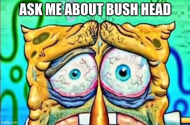 tired spunch bop | ASK ME ABOUT BUSH HEAD | image tagged in tired spunch bop | made w/ Imgflip meme maker