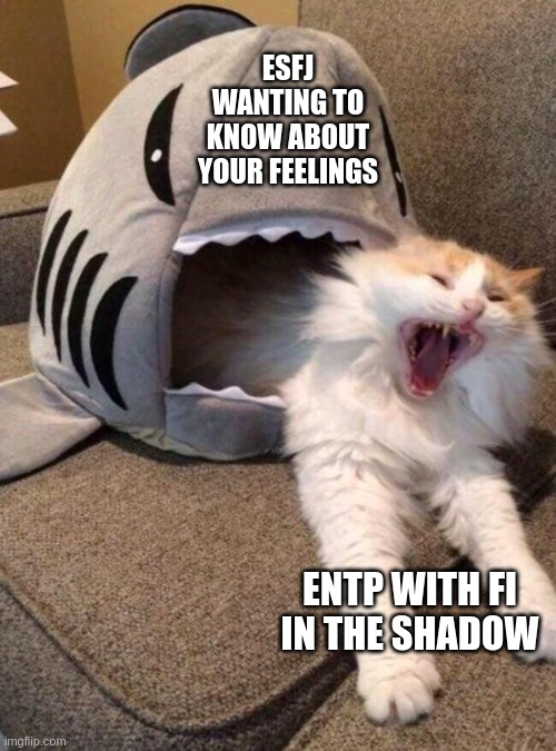 Shadow Fi | ESFJ WANTING TO KNOW ABOUT YOUR FEELINGS; ENTP WITH FI IN THE SHADOW | image tagged in scared cat,mbti,myers briggs,entp,esfj,personality | made w/ Imgflip meme maker