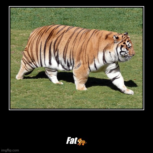 Fat? | image tagged in funny,demotivationals | made w/ Imgflip demotivational maker