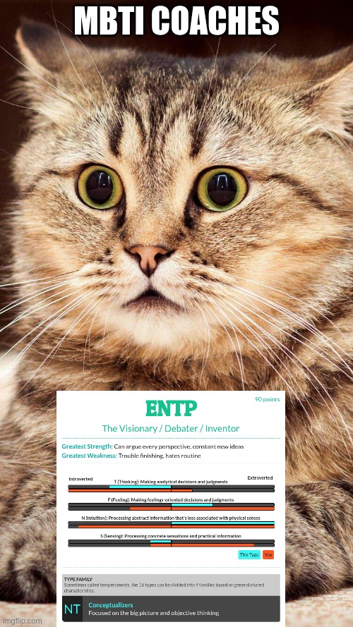 MBTI Coaches | MBTI COACHES | image tagged in shocked cat,entp,myers briggs,mbti,personality,results | made w/ Imgflip meme maker