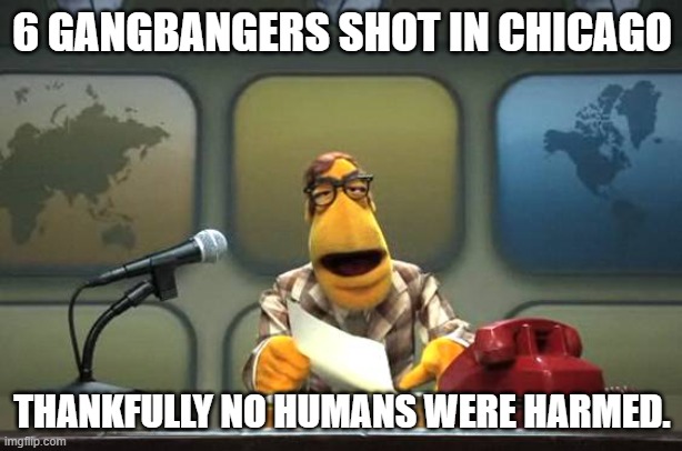 Muppet News Flash | 6 GANGBANGERS SHOT IN CHICAGO THANKFULLY NO HUMANS WERE HARMED. | image tagged in muppet news flash | made w/ Imgflip meme maker