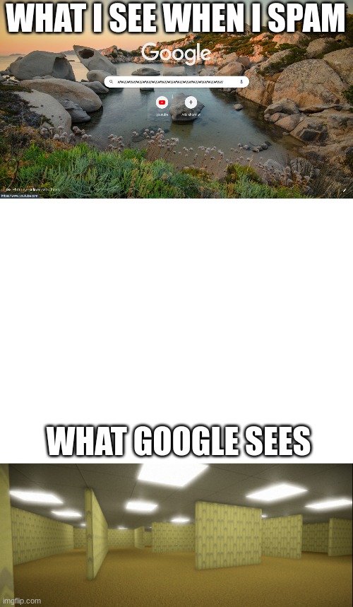 What I see, what google sees | WHAT I SEE WHEN I SPAM; WHAT GOOGLE SEES | image tagged in the backrooms,google | made w/ Imgflip meme maker