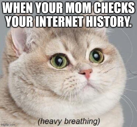 Heavy Breathing Cat |  WHEN YOUR MOM CHECKS YOUR INTERNET HISTORY. | image tagged in memes,heavy breathing cat | made w/ Imgflip meme maker