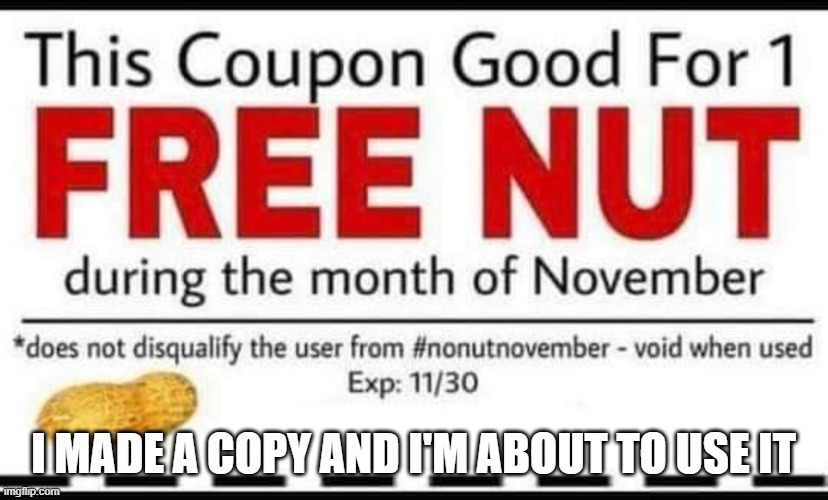 is that against the rules | I MADE A COPY AND I'M ABOUT TO USE IT | made w/ Imgflip meme maker
